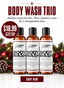 The Holiday Body Wash Trio